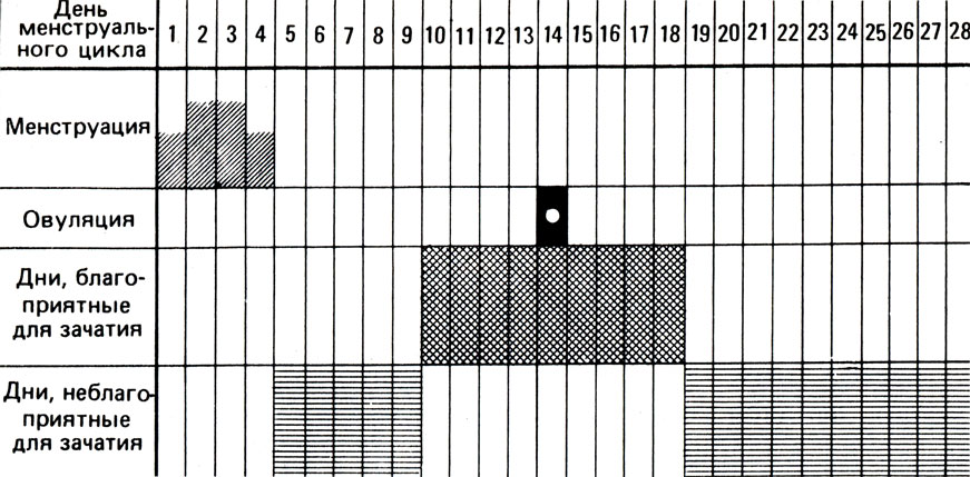 Цикл 28 дней. Дни для зачатия. Благоприятные дни цикла для зачатия ребенка. Неблагоприятные дни для зачатия. Благоприятные дни для зачатия график.
