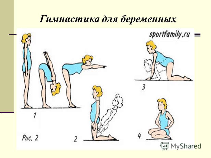 Гимнастика 3 триместре. Упражнения для беременных 2 3 триместр. Лечебная гимнастика 2 триместр. Упражнения для беременных 1 триместр в домашних. Упражнения для беременных 3 триместр.