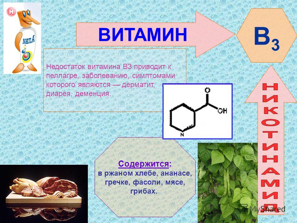 Витамин ставит. Витамин в3. Витамин PP функции. Синтез витамина PP.