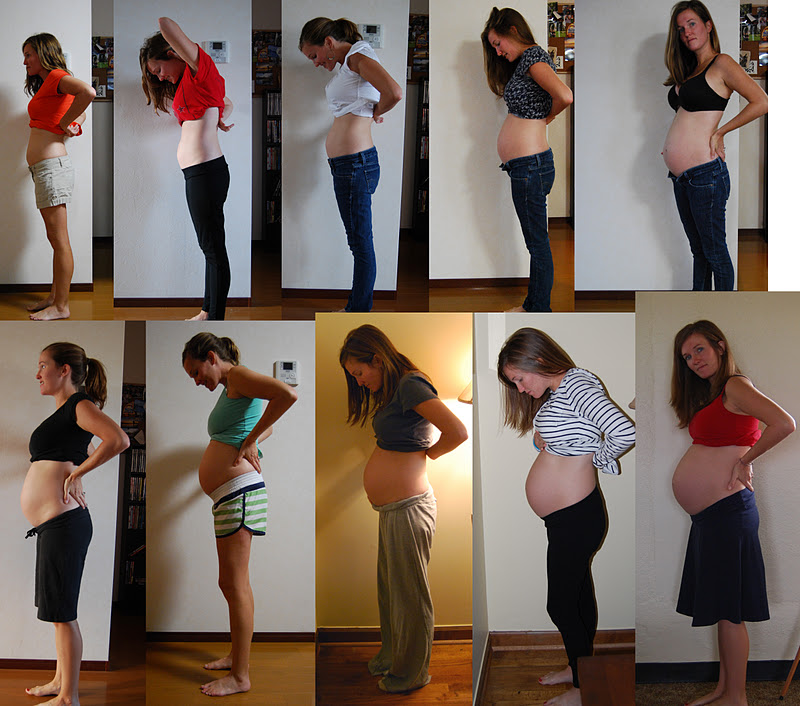 Живот беременной по месяцам фото