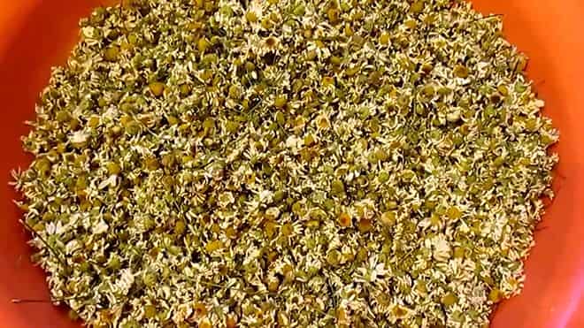 polezno-pri-boleznyah