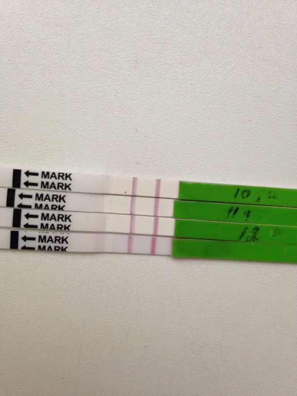 Тест на овуляцию слабая вторая. Тест полоски на овуляцию. Тест на овуляцию тестовая полоска бледная. Тесты на овуляцию полоски бледнее. Тест на овуляцию 2 полоски одна бледная.
