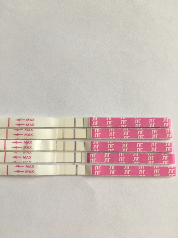 Тест на овуляцию показал слабую вторую полоску. Тест на овуляцию 2поооски. Тест на овуляцию контрольная полоска бледная. Тест на овуляцию слабая полоска. Тест на овуляцию 2 полоски.