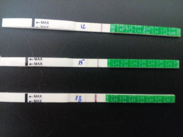 Тест на овуляцию слабая полоска что значит. Тест на овуляцию отрицательный. Тест на овуляцию отрицательно. Полоски при овуляции тест. Вторая полоска на тесте овуляции.