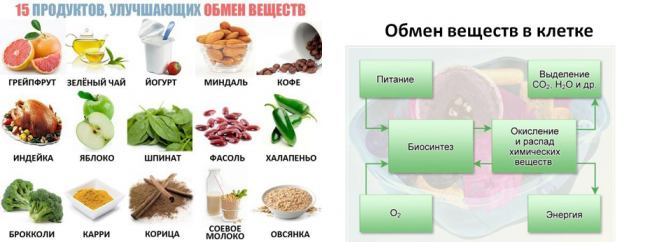 Как восстановить обмен веществ в организме женщины