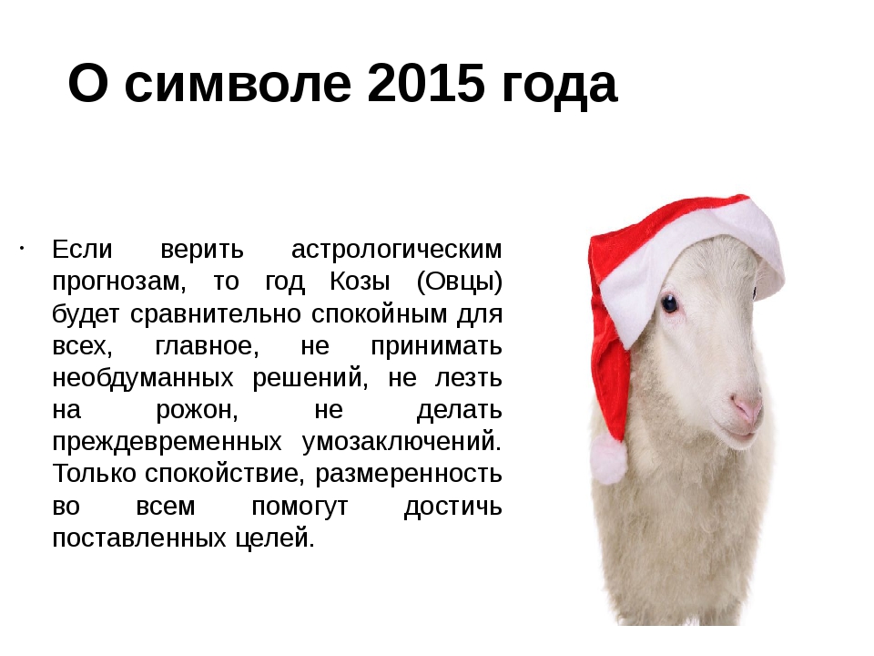 2015 года барана. Год козы овцы. Год овцы какие. Рождённая в год овцы. Год овцы когда.