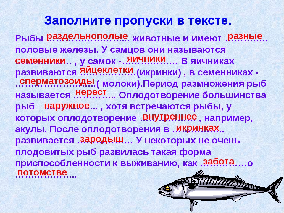 Размножение животных рыбы. Размножение рыб. Особенности размножения рыб. Размножение рыб кратко. Сообщение о размножении рыб.