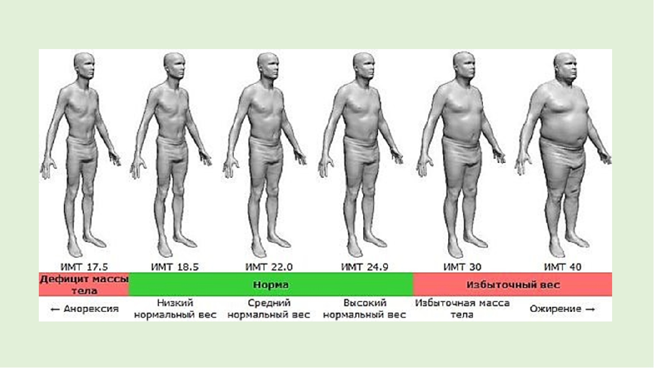 Нормальный индекс массы тела человека. Индекс массы тела. Индекс массы тела (ИМТ). Ожирение. Талия у мужчин норма.