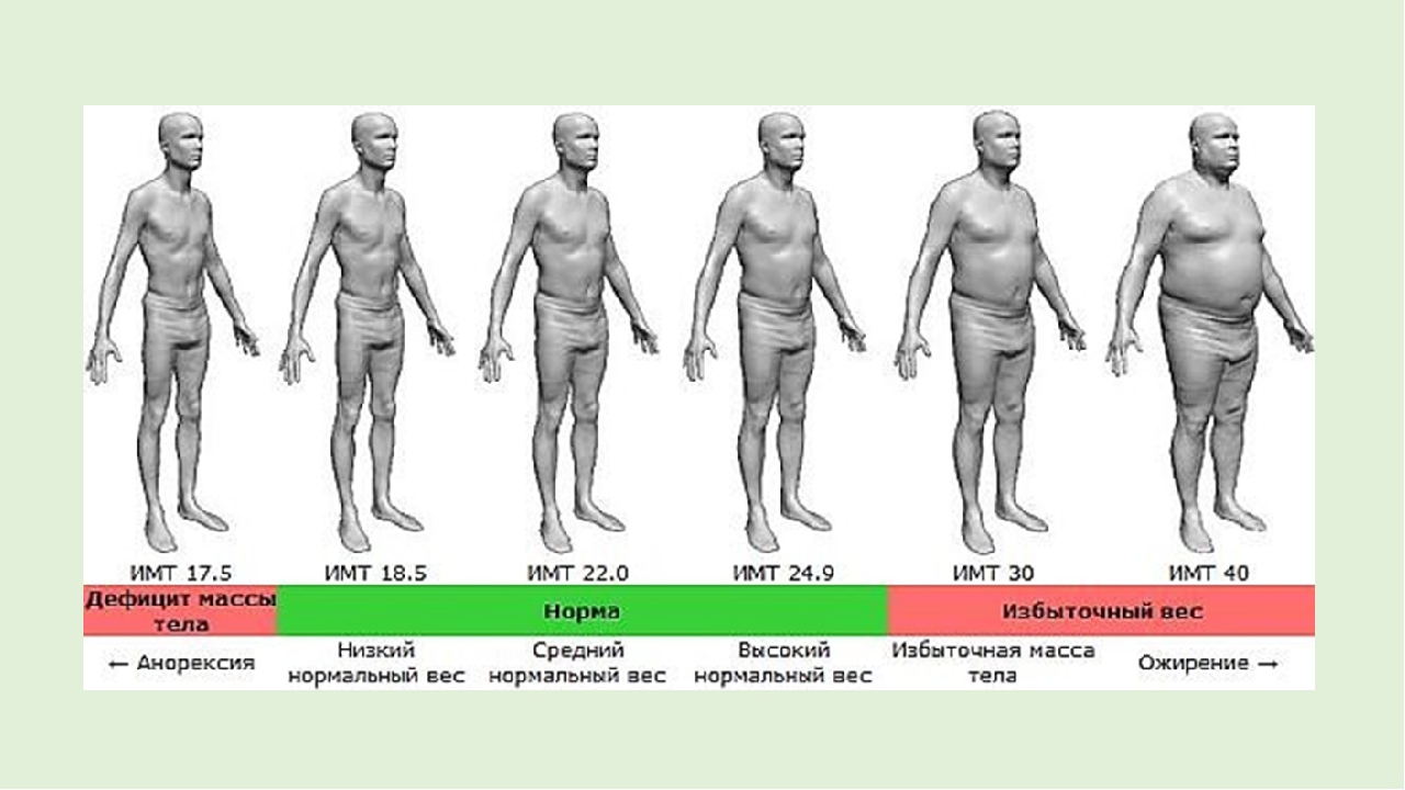 Какие бывают ожирения. Индекс массы тела. Индекс массы тела (ИМТ). Ожирение. Талия у мужчин норма.