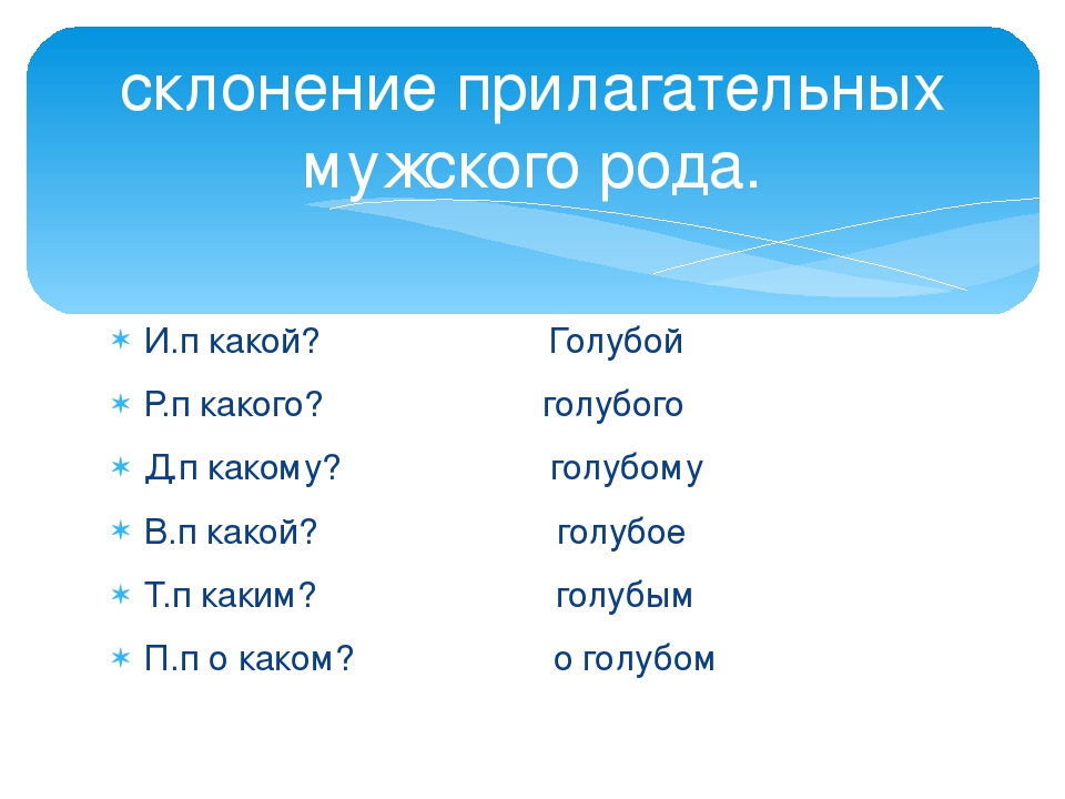 Имена прилагательные мужского и женского рода. Мужской род прилагательных. Склонение прилагательных мужского рода. Склонение прилагательного мужского рода. Прилагательное мужского рода.