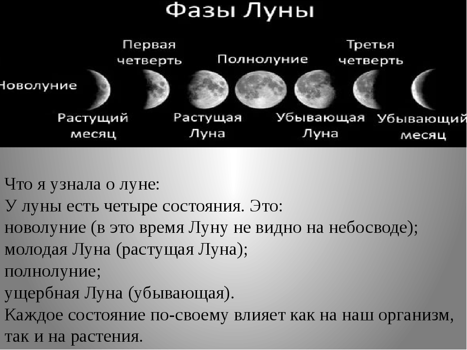 Какая луна в россии. Ф̆̈ӑ̈з̆̈ы̆̈ Л̆̈ў̈н̆̈ы̆̈. Фазы Луны. Фазы Луны фазы Луны. Убывающая Луна.