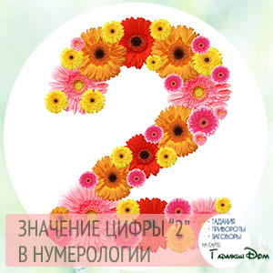 что означает 2 в нумерологии