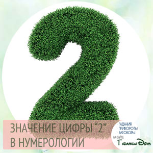 Двойка в нумерологии. Цифра 2 в нумерологии. Что означает цифра 2. Двойка в нумерологии значение.