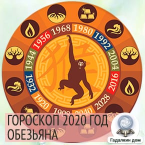 Гороскоп Обезьяны 2020