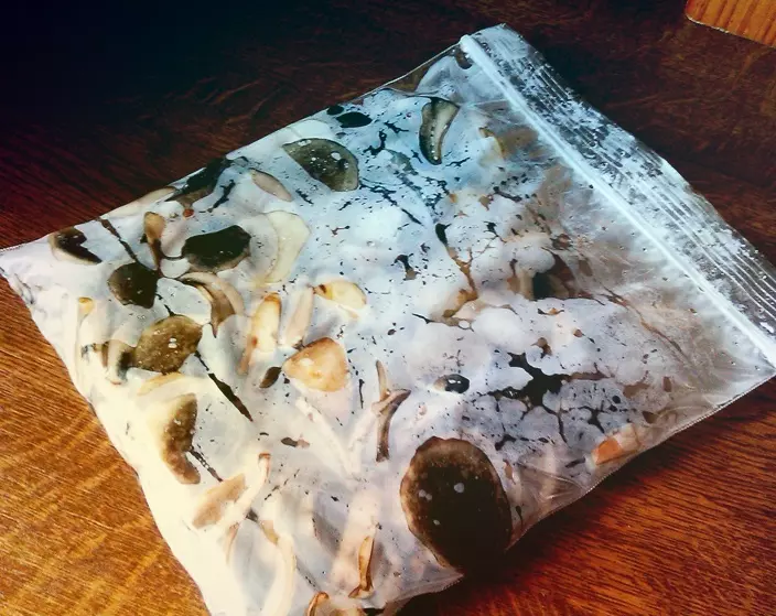 Как правильно заморозить собранные грибы