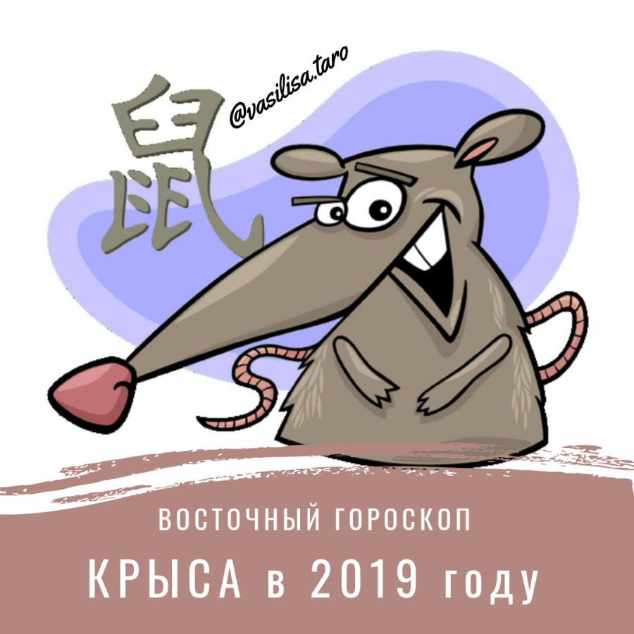 Знак зодиака 2020 года по гороскопу. Год крысы. Крыса китайский Зодиак. Знак года крысы. 2020 Год крысы.
