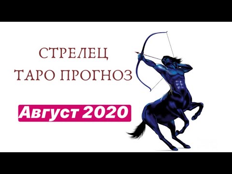 Гороскоп стрелец на 2024 мужчины. Стрелец тигр женщина. 24 Августа Стрелец. Год тигра Стрелец женщина. Какие Стрельцы в работе.