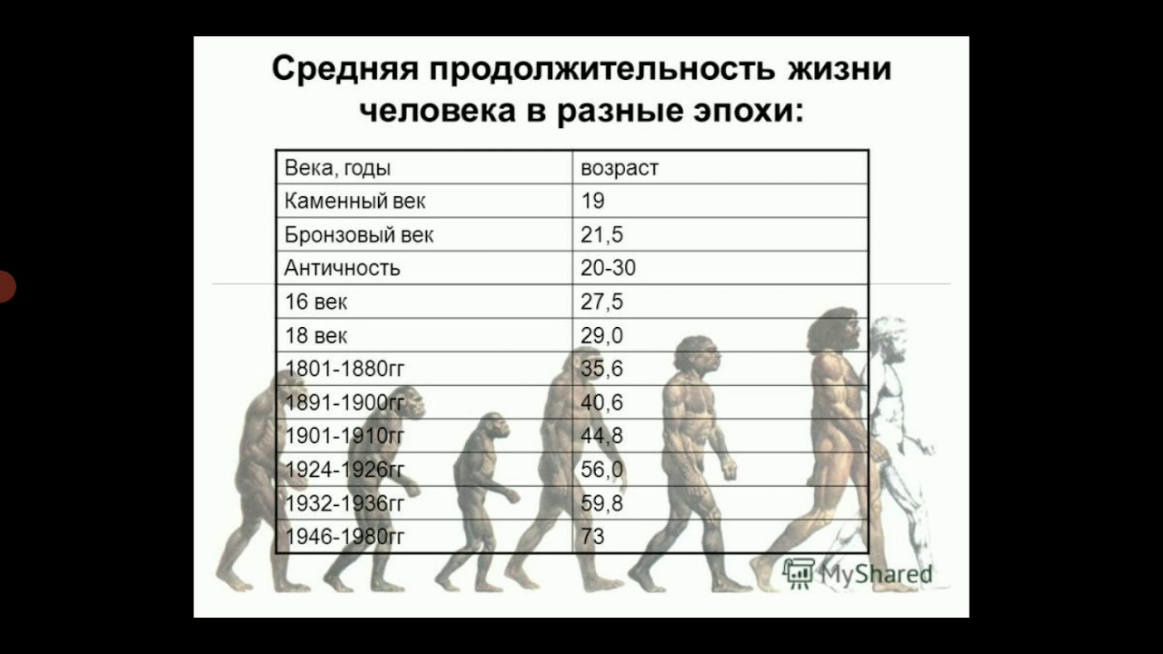 Средний возраст женщин и мужчин в россии. Продолжительность жизни. Продолжительность жизни человека. Продолжительность жизни в разные эпохи. Средняя Продолжительность жизни жизни человека.