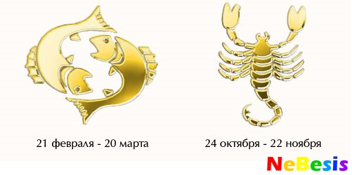Скорпиона мужчины скорпионов союз. Рыба Скорпион. Скорпион и рыбы совместимость. Совместимость знаков зодиака рыбы и Скорпион. Мужчина Скорпион и женщина рыбы.