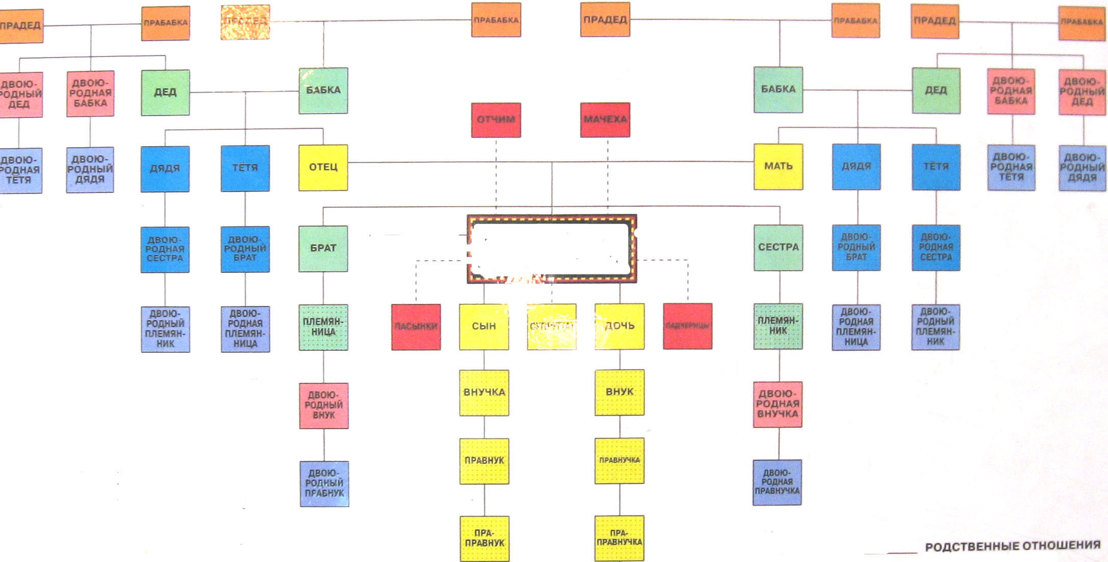 Родственные связи кто кому и кем приходится в семье схема