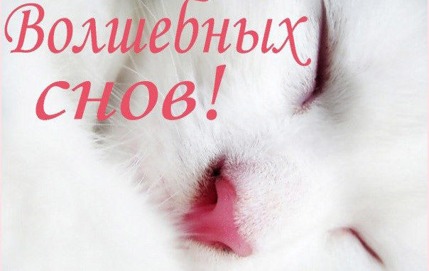 Пожелания спокойной ночи любимому своими словами