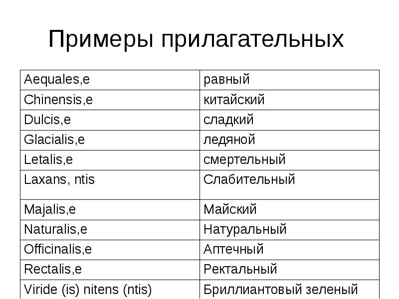 Прилагательные комплименты