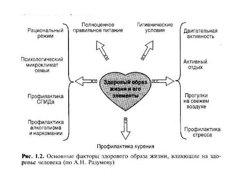 Здоровье человека схема - 88 фото