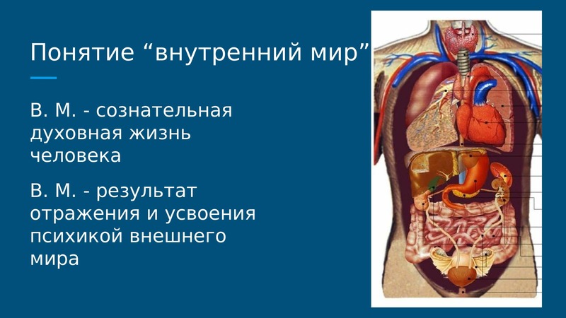 Сочинение 9.3 на тему внутренний мир. Внутренний мир человека это. Внутренний мир человека вывод. Понятие внутренний мир человека. Вывод о внутреннем мире человека.