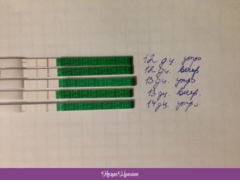 Слабая вторая полоска на тесте овуляции