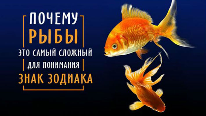 Что ждет рыб в апреле 2024. Рыбы прикольный гороскоп. Смешные выражения про рыбку. Высказывания о рыбах. Смешной гороскоп рыбы.