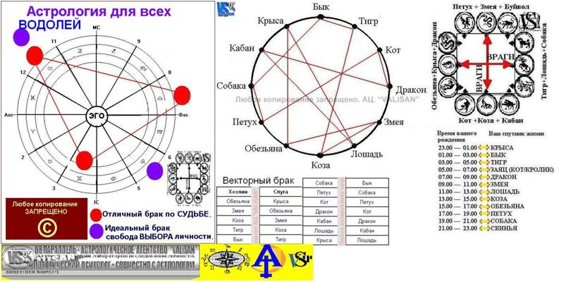 Дева змея мужчина совместимость. Астрология совместимость. Совместимость знаков зодиака. Водолей астрология. Схема совместимости знаков зодиака.