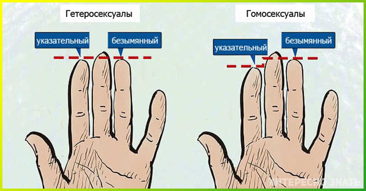 Тест на ориентацию для девушки по картинкам