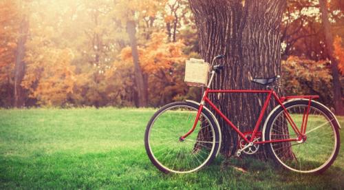 Как поднять иммунитет осенью. Как укрепить иммунитет осенью и зимой