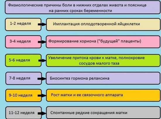 Причины боли в пояснице при беременности