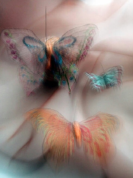 Бабочки в животе": формула любви научным языком.