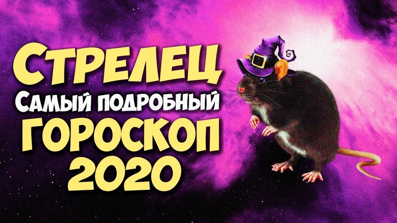 Гороскоп 2024 крыса стрелец. Крыса Стрелец. 2020 Год крысы. Гороскоп Стрелец и крыса. Характер стрельца крысы.