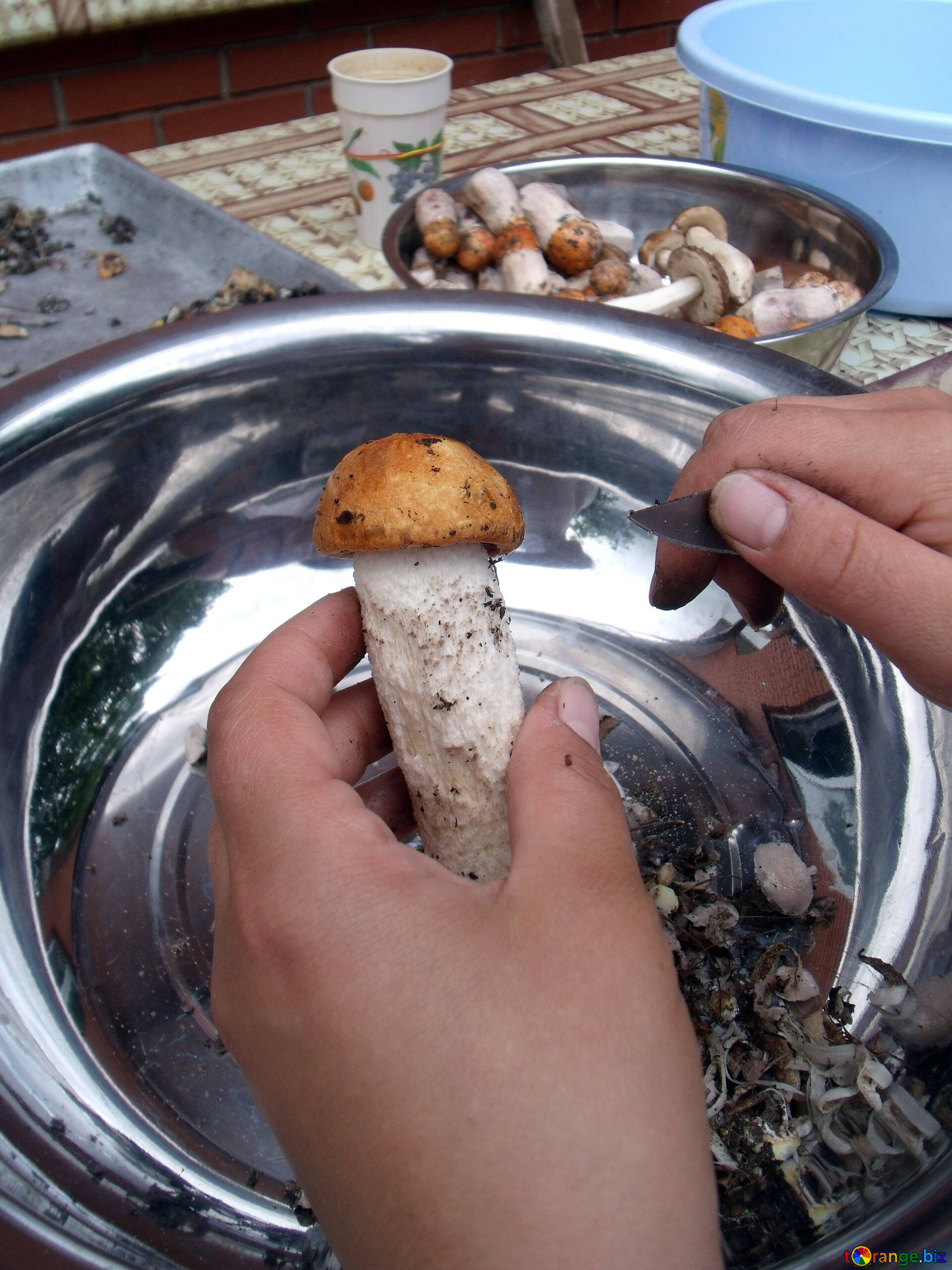 Как готовить грибы домашние. Красноголовики грибы. Вареные грибы. Вареные белые грибы. Замоченные грибы.