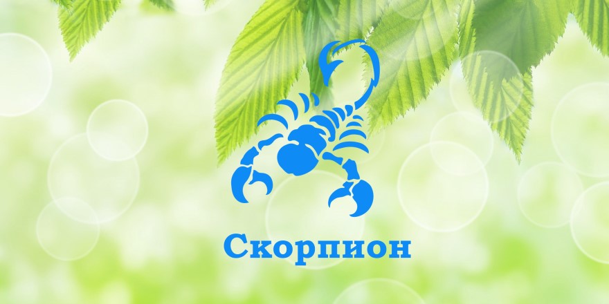 Апрель 2024 гороскоп скорпион женщина самый точный. Знак зодиака Скорпион.