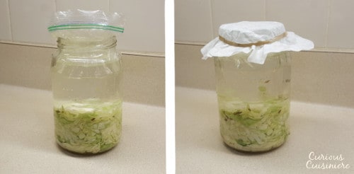 Cabbage and salt are all you need to make small batches of this authentic German sauerkraut at home. 