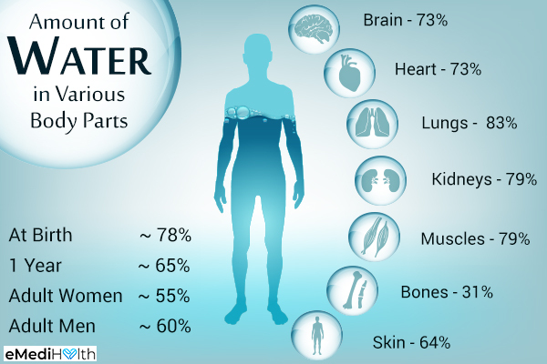 importance of water for the human body