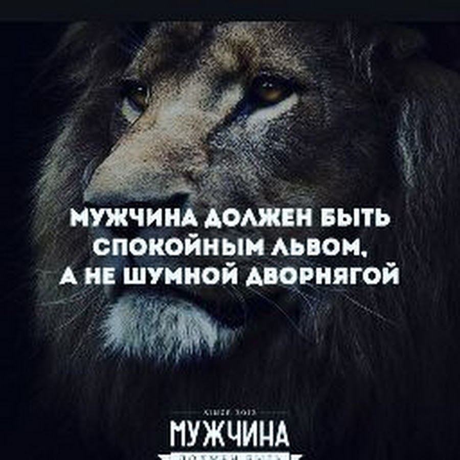 Будь спокойна и сильна. Мужчина должен быть спокойным львом. Мужчин должен быть спокойным львом а не шумной. Быть львом. Мужчина должен быть спокойным львом а не шумной дворнягой.