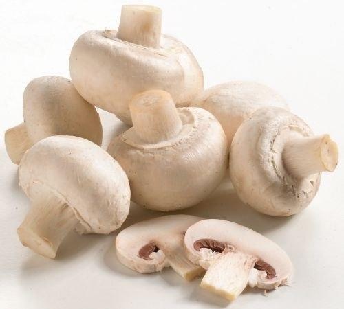 Как варить грибы шампиньоны. Как варить свежие шампиньоны