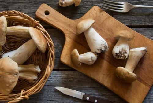 Как долго варить грибы в супе по времени. Сколько варить белые грибы для супа