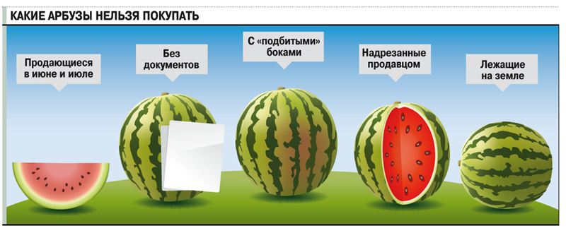 Как выбрать спелый и сладкий арбуз?